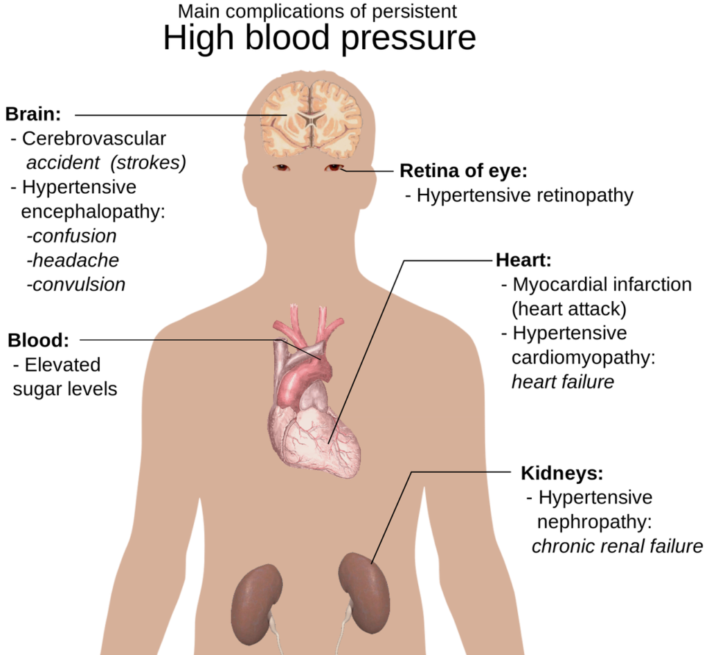 The Connection Between Anemia and Heart Disease Implications for Dental Health